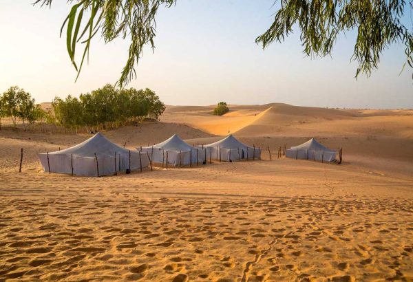 Désert de Lompoul (17)